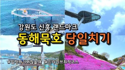 강원도 동해 여행 가볼만한곳 도째비골 스카이벨리 해랑전망대 묵호활어센터 논골담길 바람의언덕 가볼만한곳