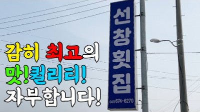 충남 태안 맛집 선창횟집 활어 회덮밥 갑오징어 물회 맛집 블루리본 맛집 마검포항 맛집 가볼만한곳