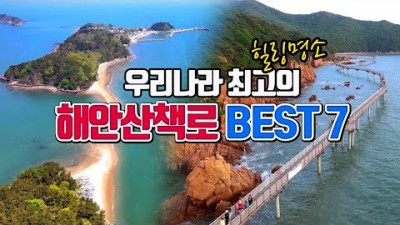 트레킹 여행 국내 최고의 해안 산책로 국내 여행 걷기 좋은 길 산책 명소 해안 데크길 둘레길 명소 무의도 제주도 포항 섬여행 가볼만한곳