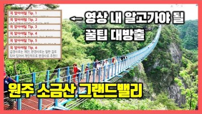 강원도 원주 여행 소금산 그랜드밸리 간현관광지 가기 전에 꼭 봐야될 곳 출렁다리 울렁다리 소금잔도 스카이타워 케이블카 간현 가볼만한곳