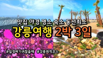 강원도 강릉 여행 가볼만한곳 강릉에 반드시 가봐야할 여행지 아르떼뮤지엄 툇마루 동화가든 하슬라아트월드 나우오네버 엄지네포장마차 BTS버스정류장 강릉여행 가볼만한곳