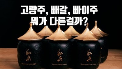 고량주 빼갈 바이주 고량주 종류를 싹 정리해드립니다 고량주 추천 칵테일 레시피까지